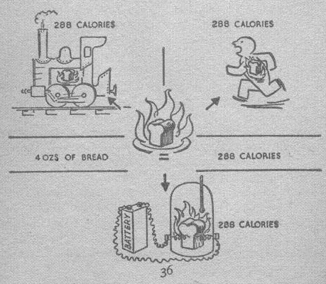 Comparing food to fuel